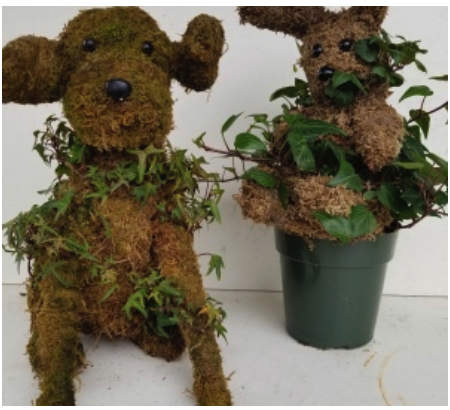 MOSSED IVY ANIMALS IN POT